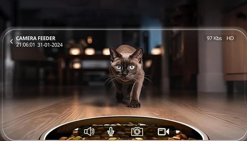 Intelligenter Haustier-Futterspender mit HD-Kamera (2L)